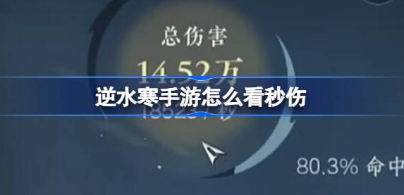 逆水寒手游怎么看秒伤-逆水寒手游秒伤面板查看方法介绍