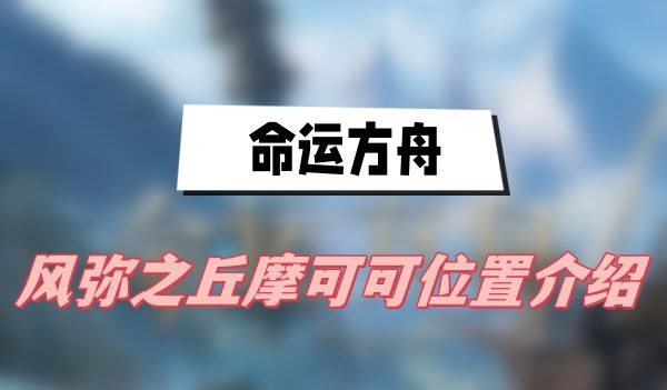 命运方舟风弥之丘摩可可种子在哪-命运方舟风弥之丘摩可可位置汇总