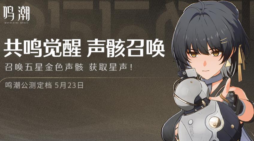 鸣潮声骸选什么比较好 鸣潮声骸选择攻略