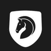 盘丝洞杭州版App下载地址