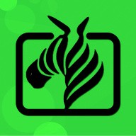 插曲视频高清观看在线播放