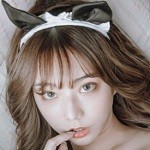 猫咪社区下载